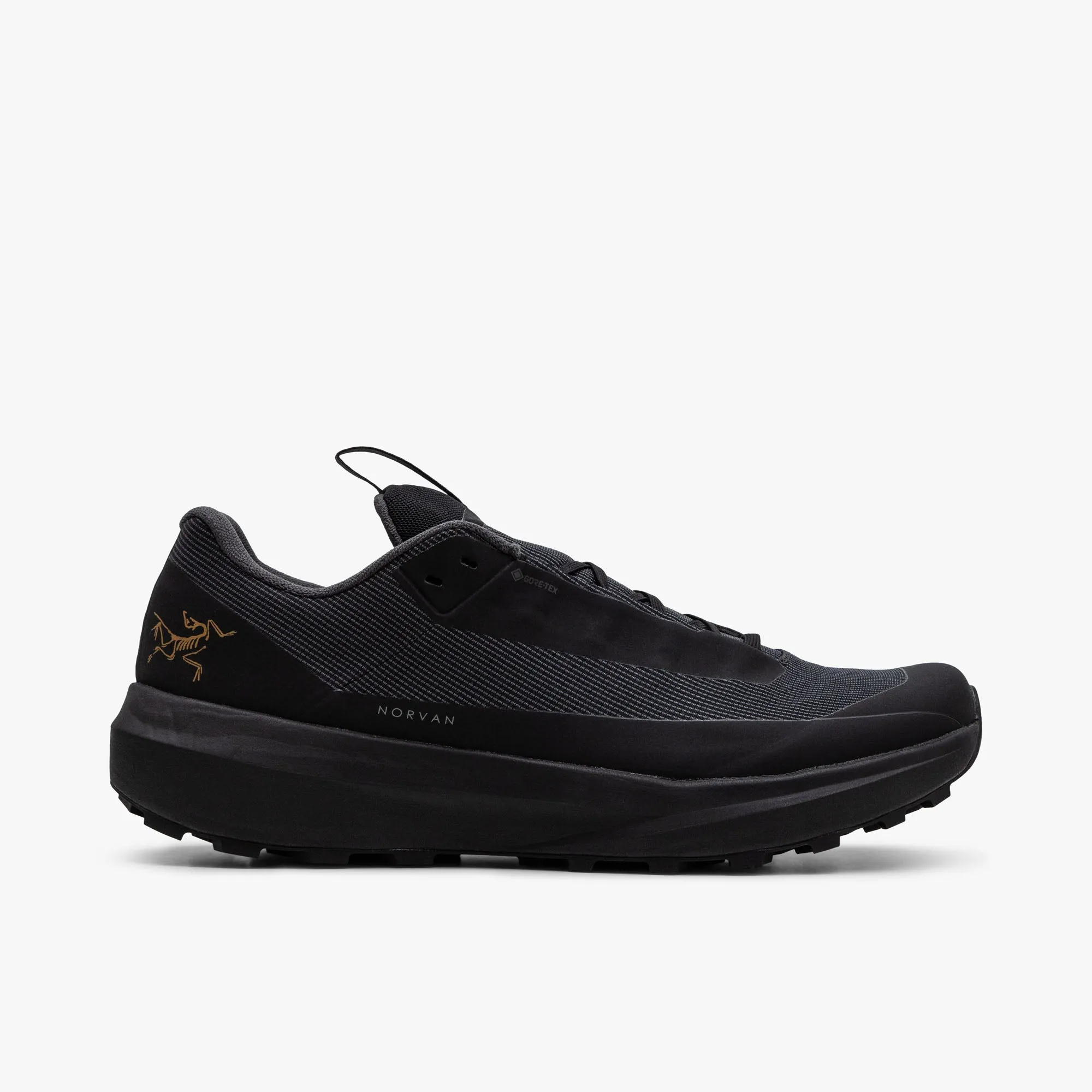 Arc'teryx Norvan LD 4 GORE-TEX Black / Black