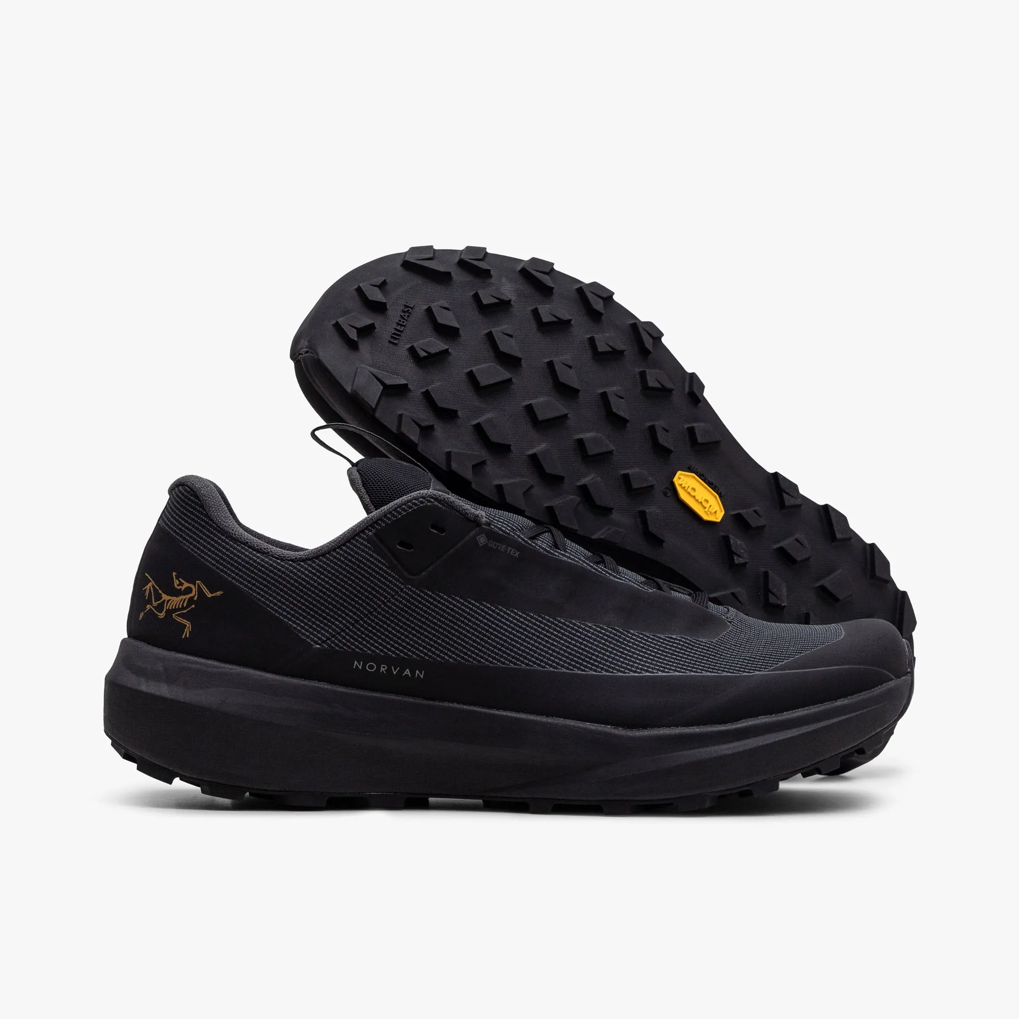 Arc'teryx Norvan LD 4 GORE-TEX Black / Black