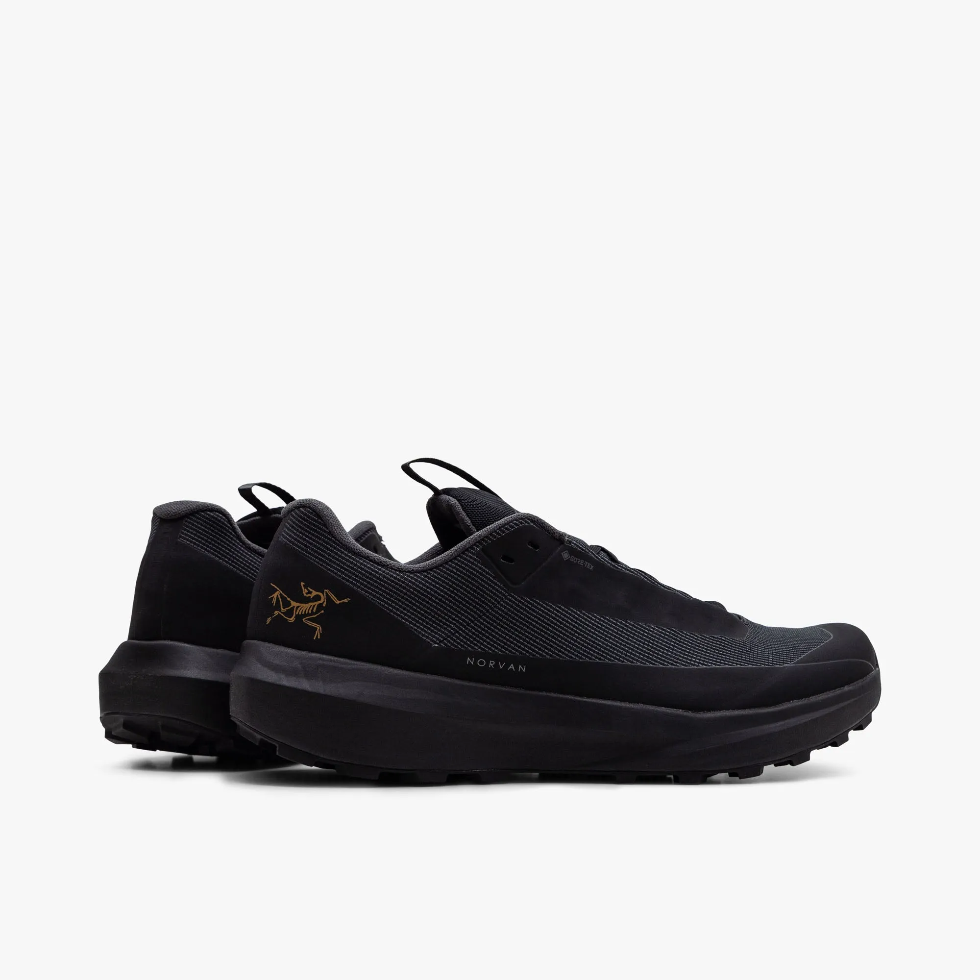 Arc'teryx Norvan LD 4 GORE-TEX Black / Black