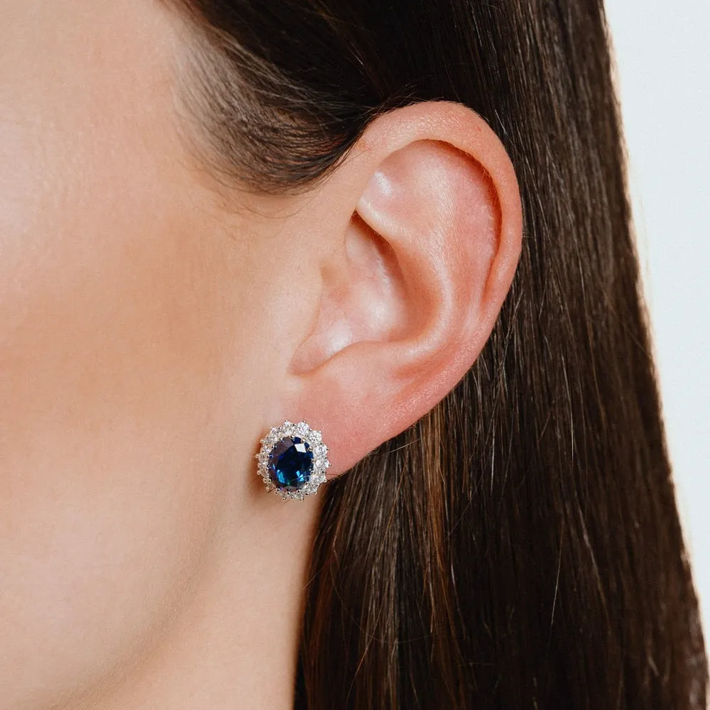 Diamonfire Sterling Silver Blue Cubic Zirconia Earrings E5586