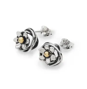 Linda MacDonald Sterling Silver and 9ct Gold Daisies Stud Earrings Scibbles Collection SCRWD